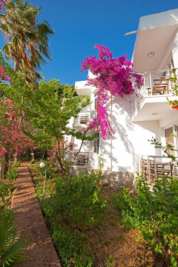 Chillos Hotel 3*