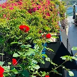Kiwi Boutique Hotel Old Town