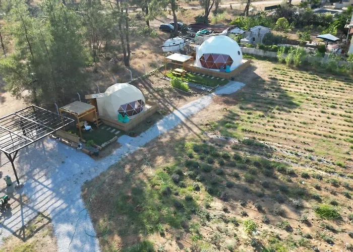 Pavlonyaguestfarm