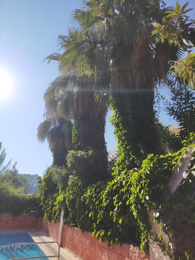 Ali Baba Marmaris