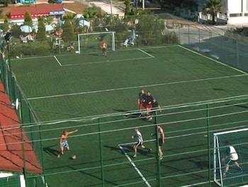Hotel Pineta Club 4*
