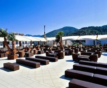 Pineta Club