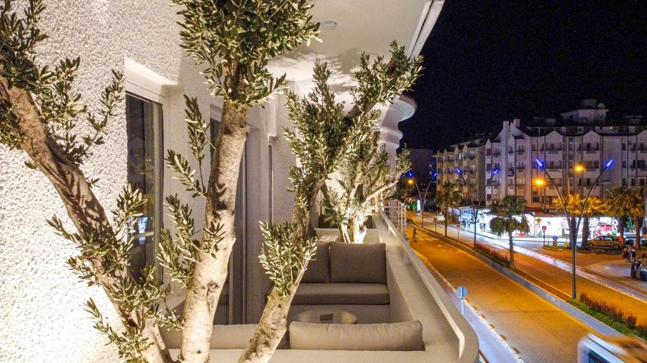 L'olive Homes