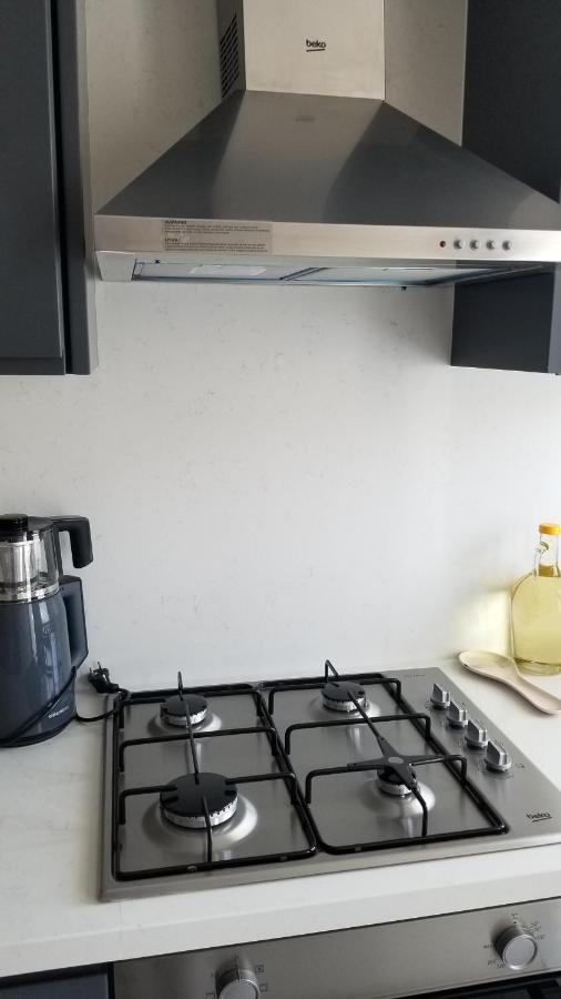 Huge Evleri 1 Apartment