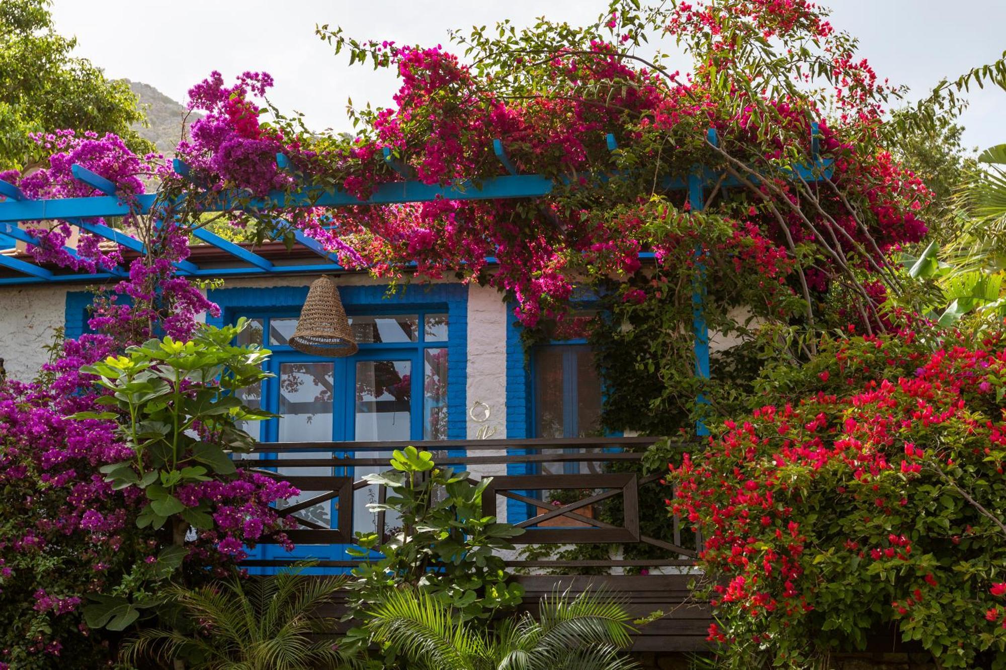 Sabrinas Haus - Adult Only +14 Hotel Marmaris