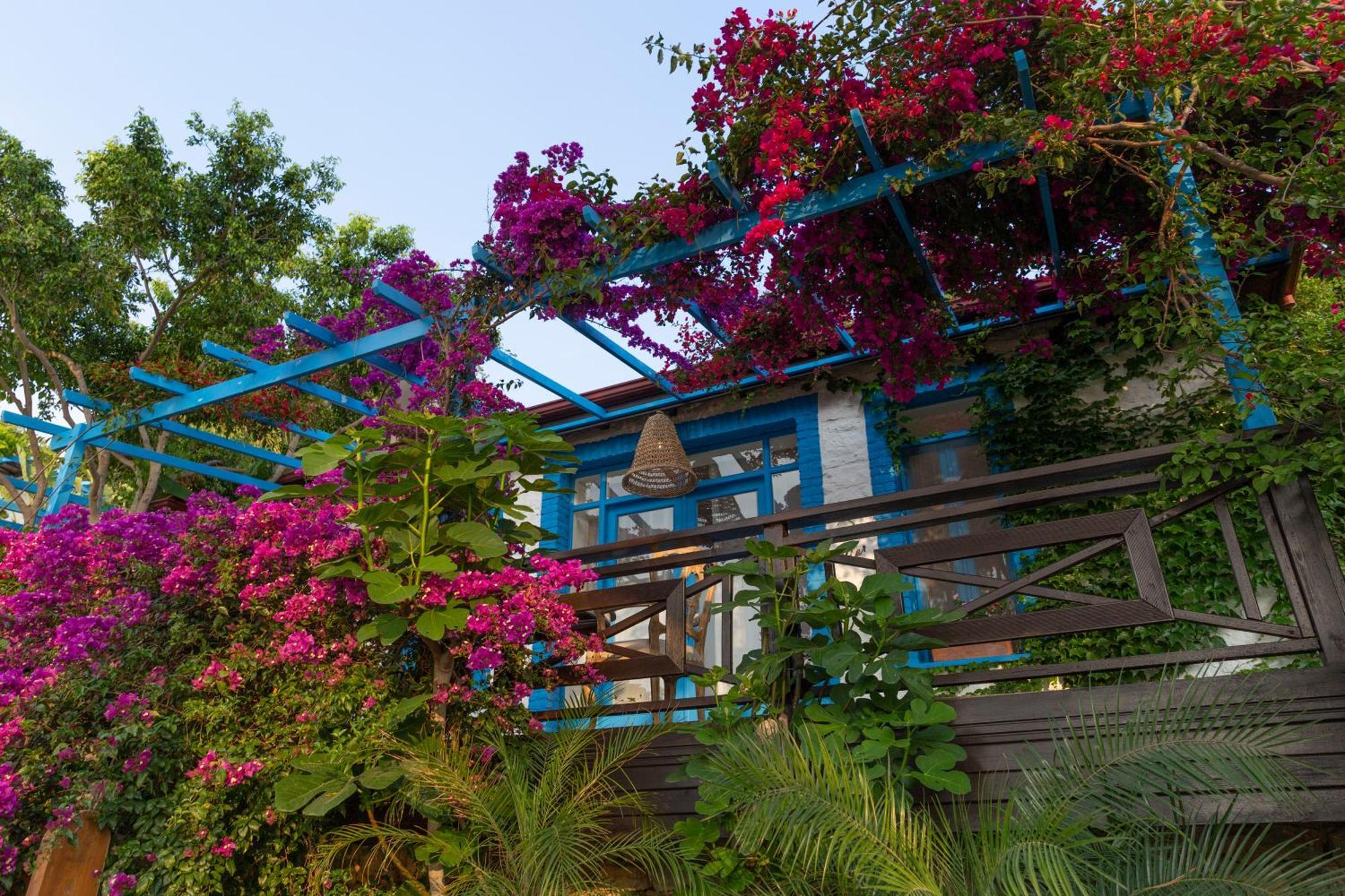 Sabrinas Haus - Adult Only +14 Marmaris