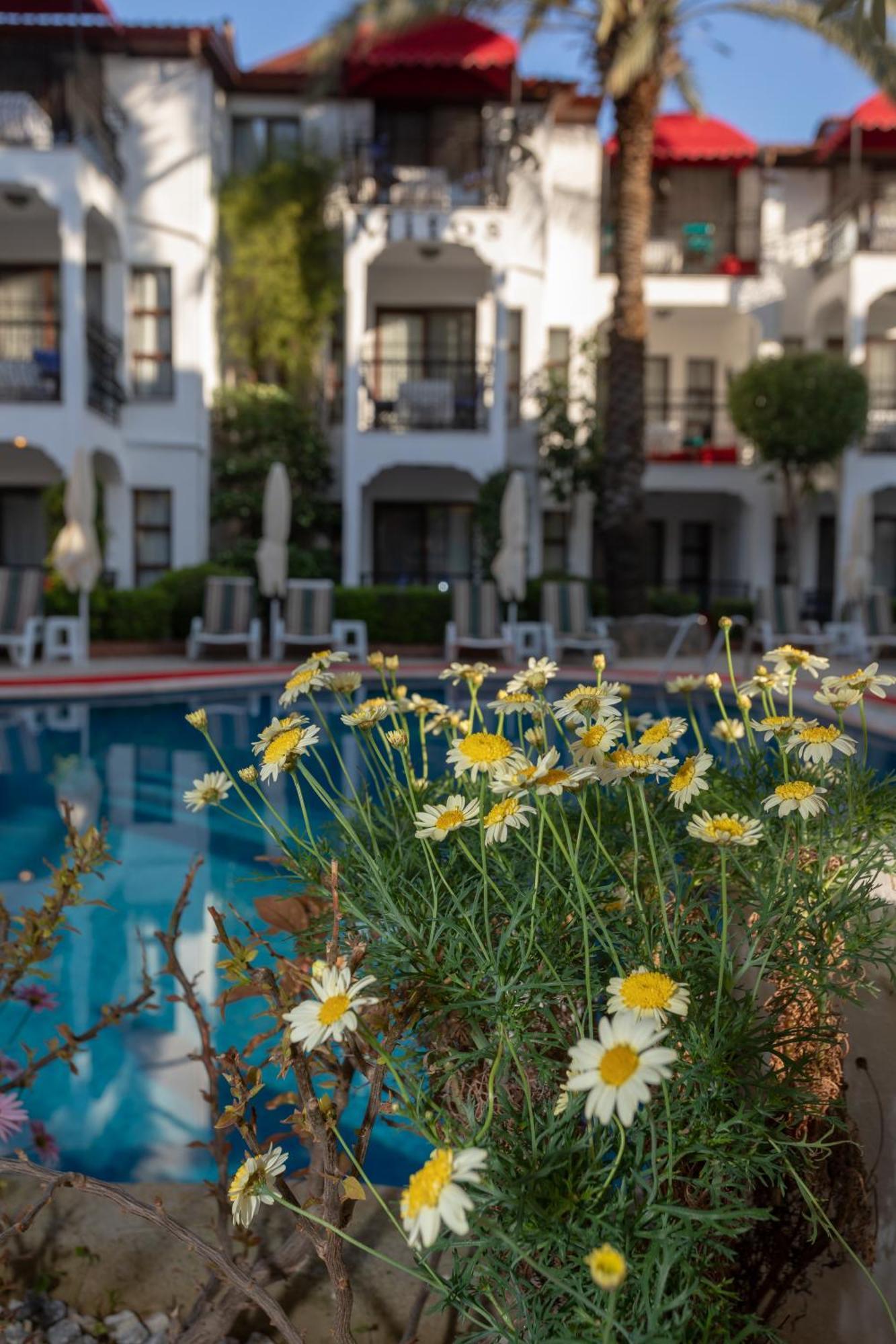 Aparthotel Mitos 3*
