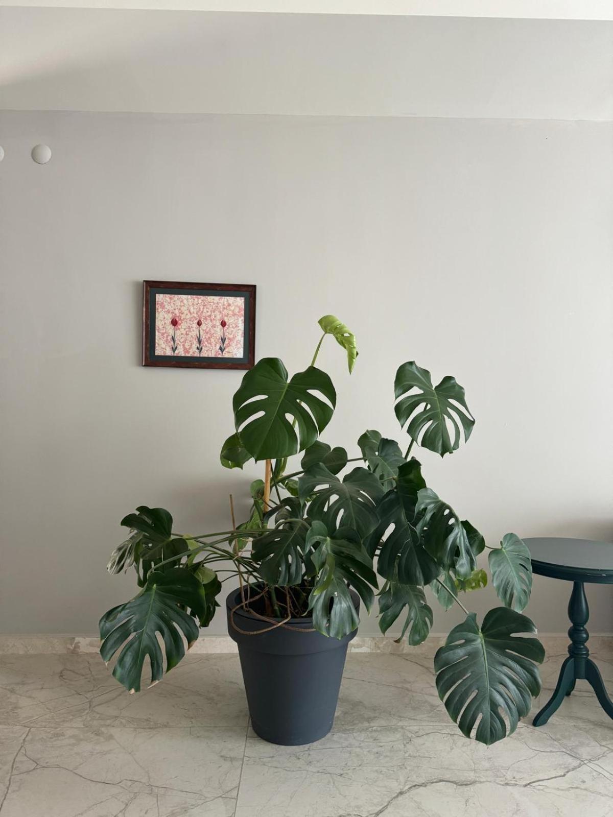 Vakantiehuis Suna Summer House *