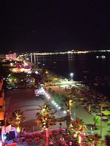 Palm 2*