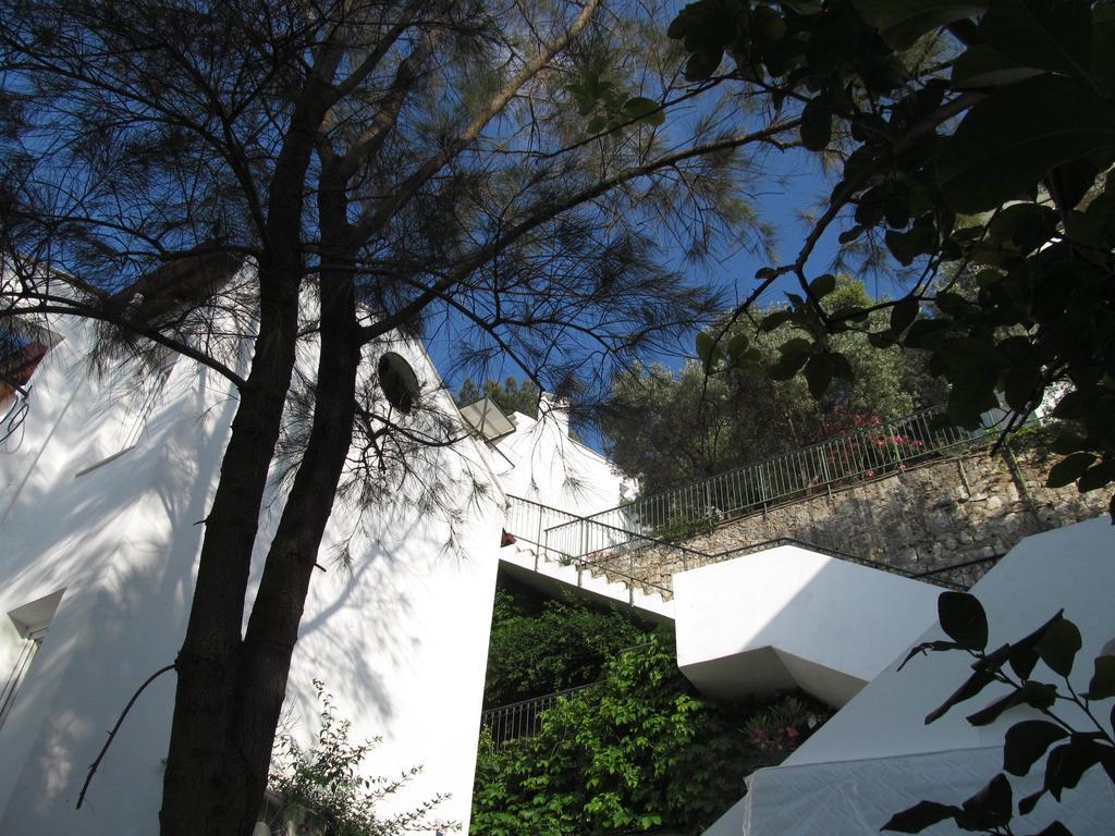 Aparthotel Serena Suites