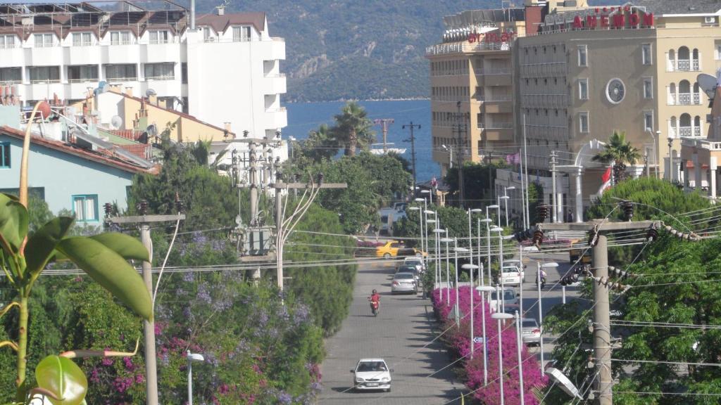 Hotel Palm 3*