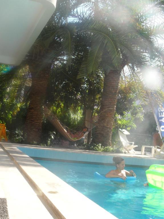 Palm 3*