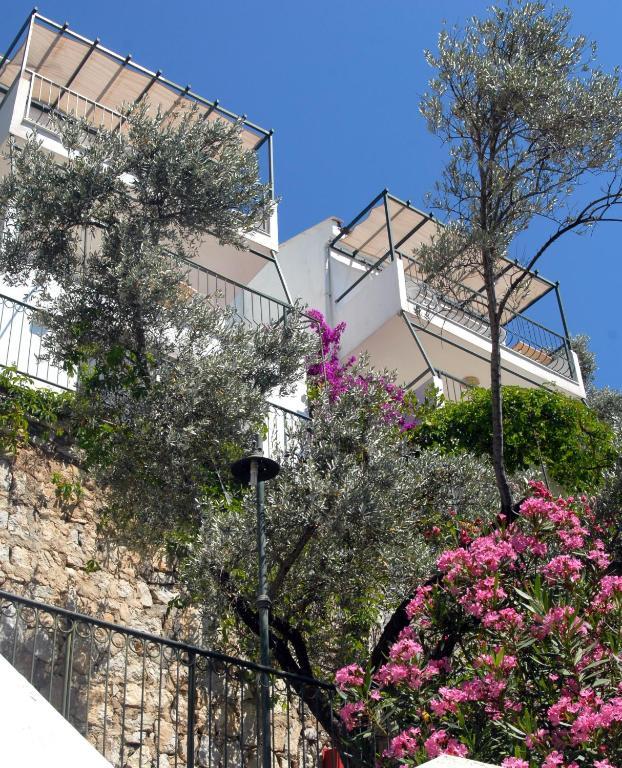 Serena Suites