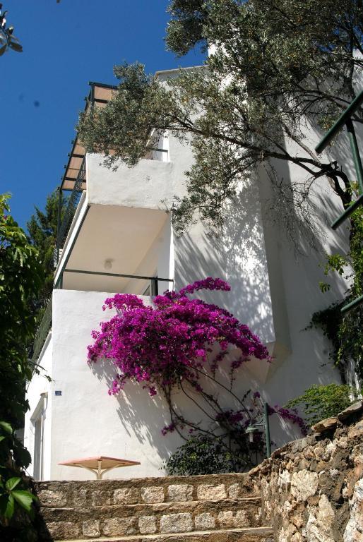 Aparthotel Serena Suites 3*
