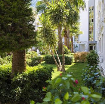 Hotel Mirage Palm (adults Only)