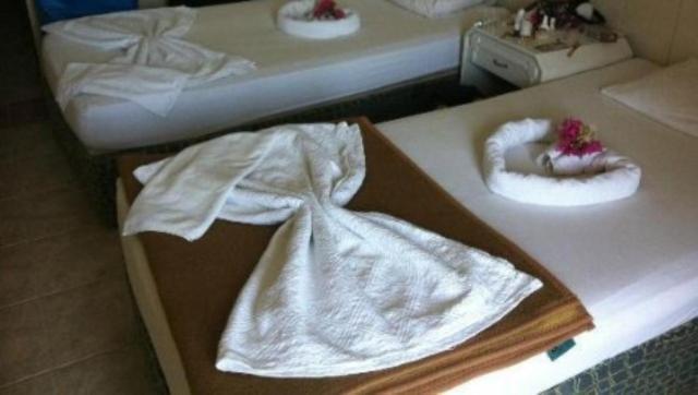Melodi 3*