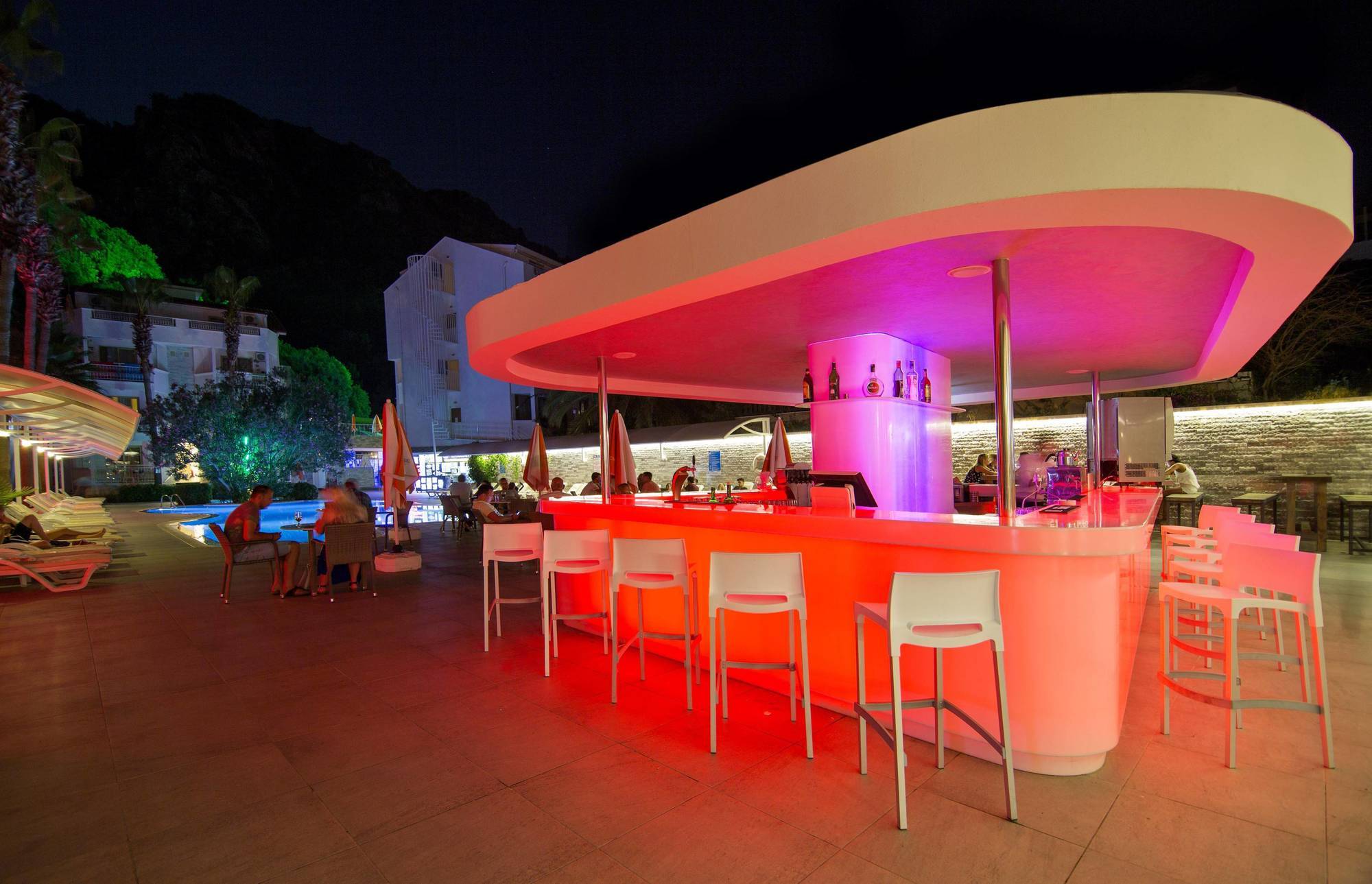 Mirage Palm (adults Only)