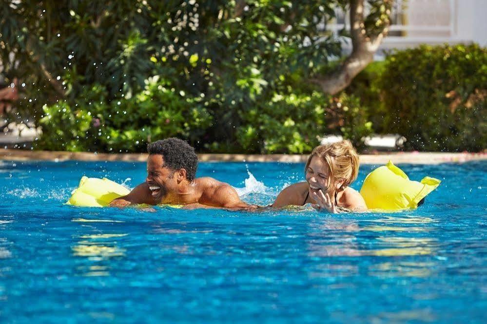 Mirage Palm (adults Only)