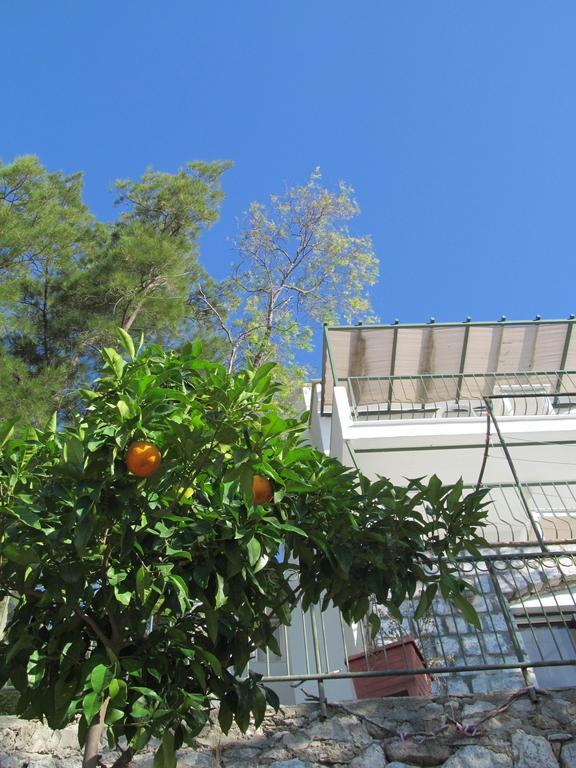 Serena Suites Aparthotel