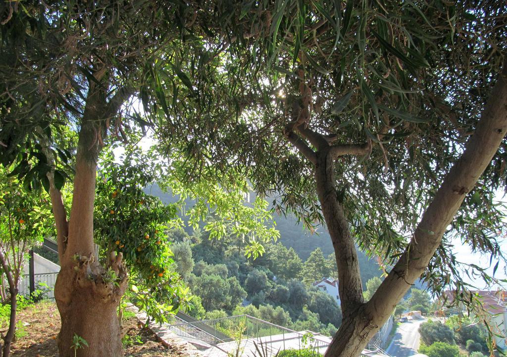 Serena Suites 3* Marmaris