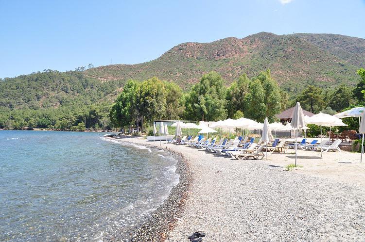 Anerissa 3*