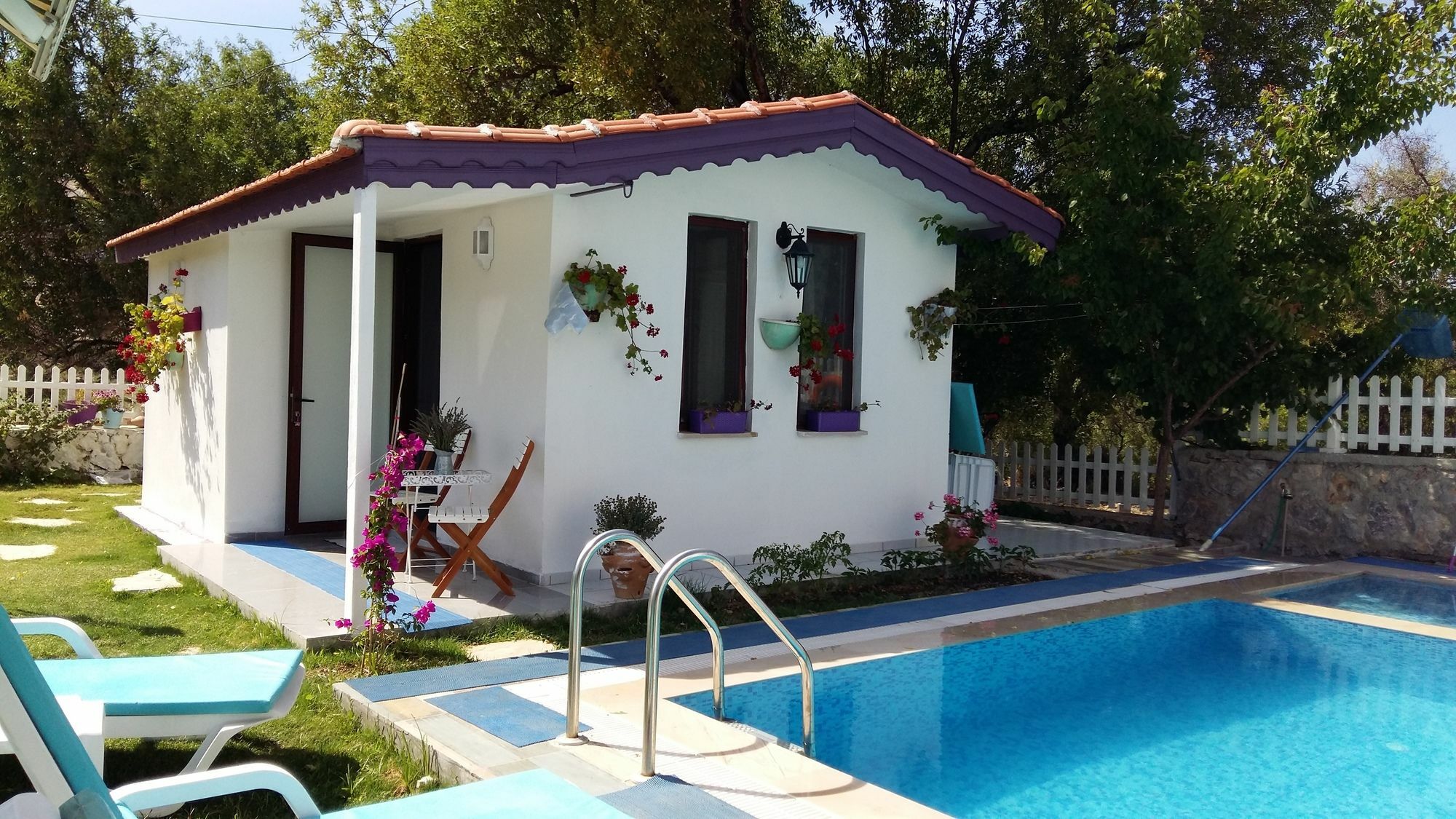 Hotel Masal 3*