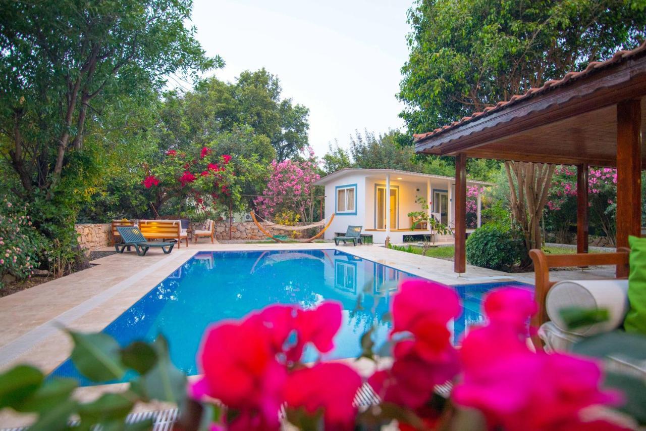 Villa Damla Sogut Daily Weekly