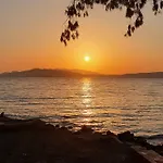 Zeytin Cicegi Evleri