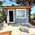 Castabus Homes
