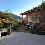 Pasa Bungalov Hotel