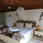 Dolphin Boutique