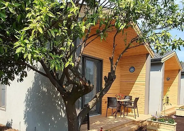 Zeytin Cicegi Evleri
