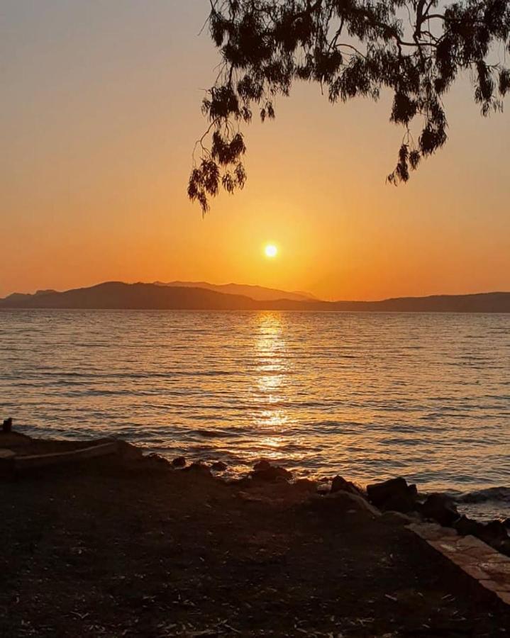 Zeytin Cicegi Evleri Holiday home
