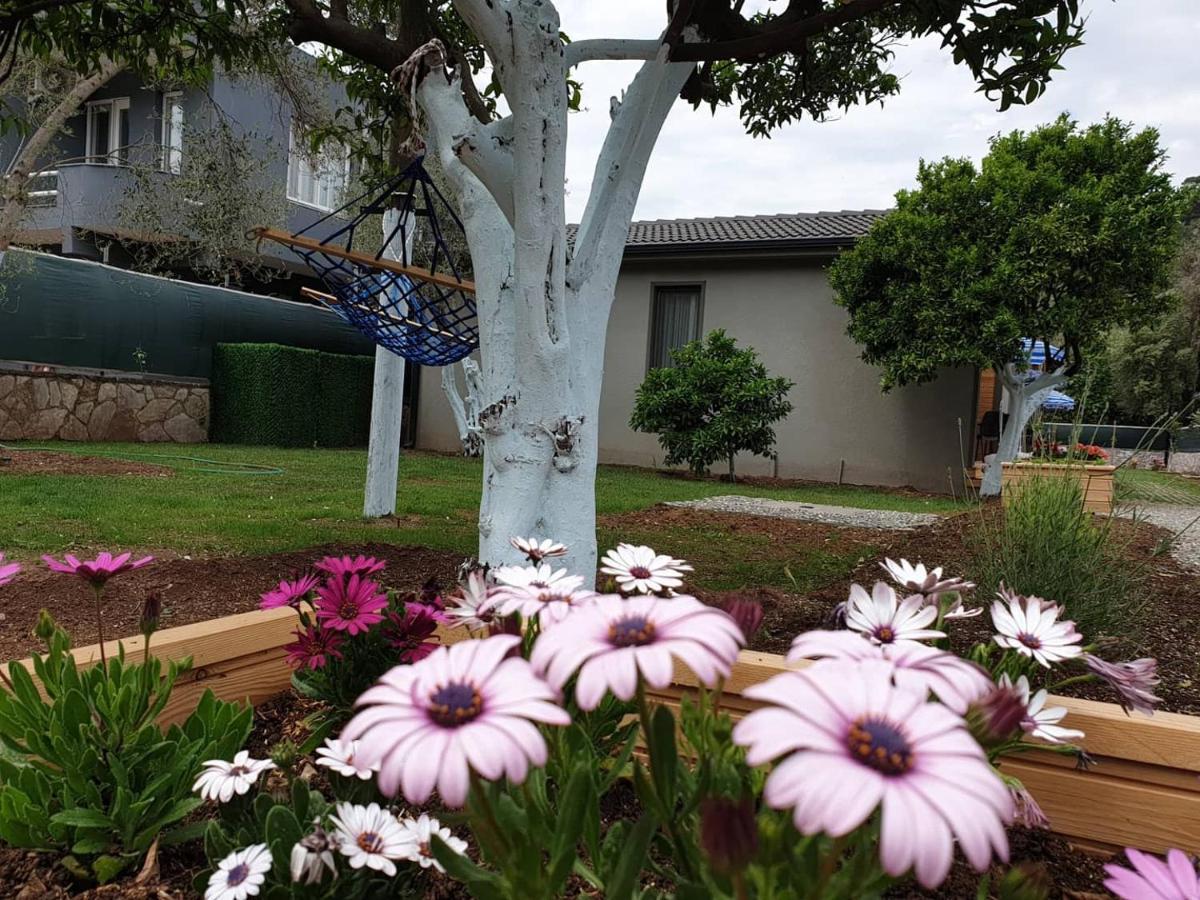 Zeytin Cicegi Evleri Holiday home Marmaris