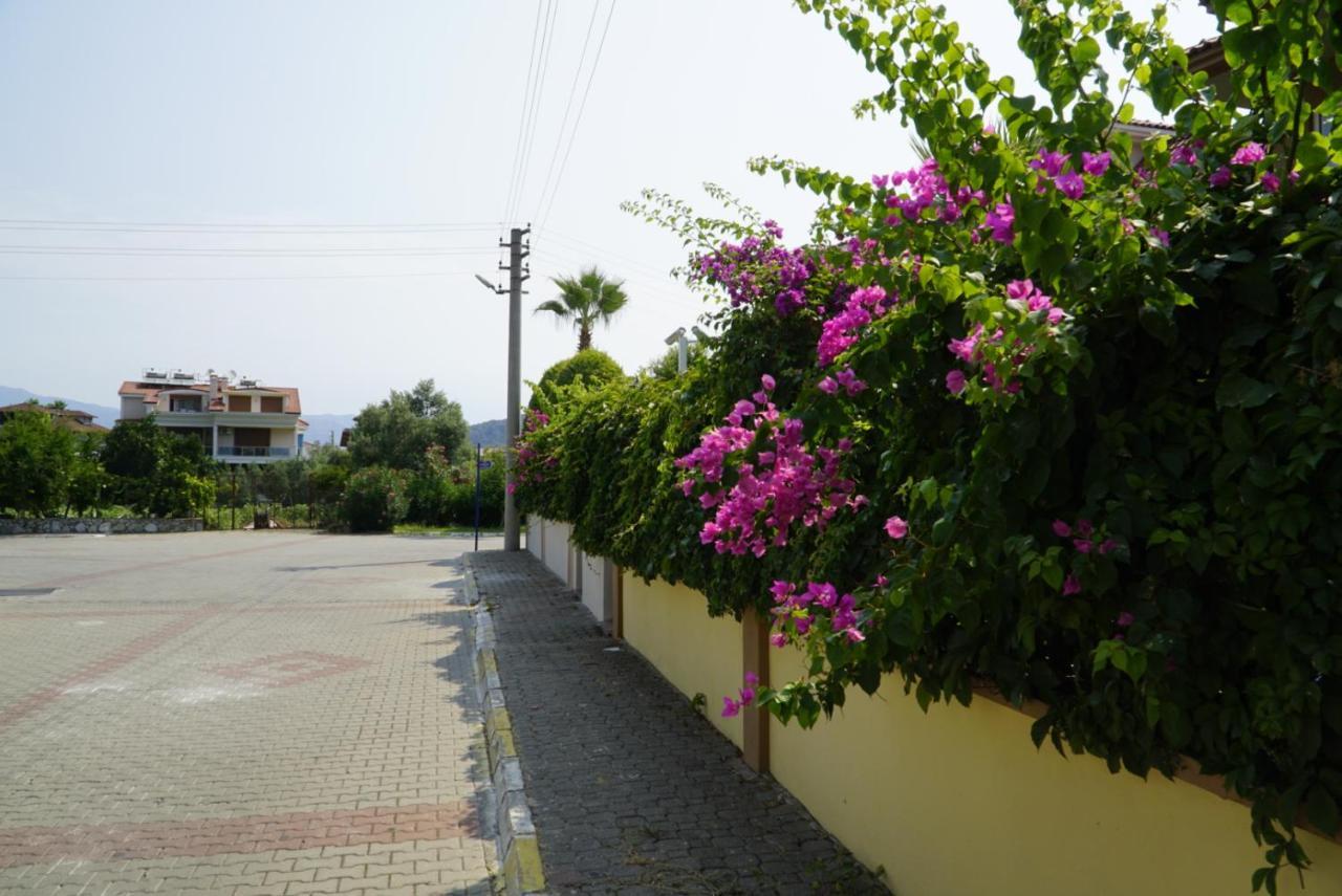 Villa Mountain View