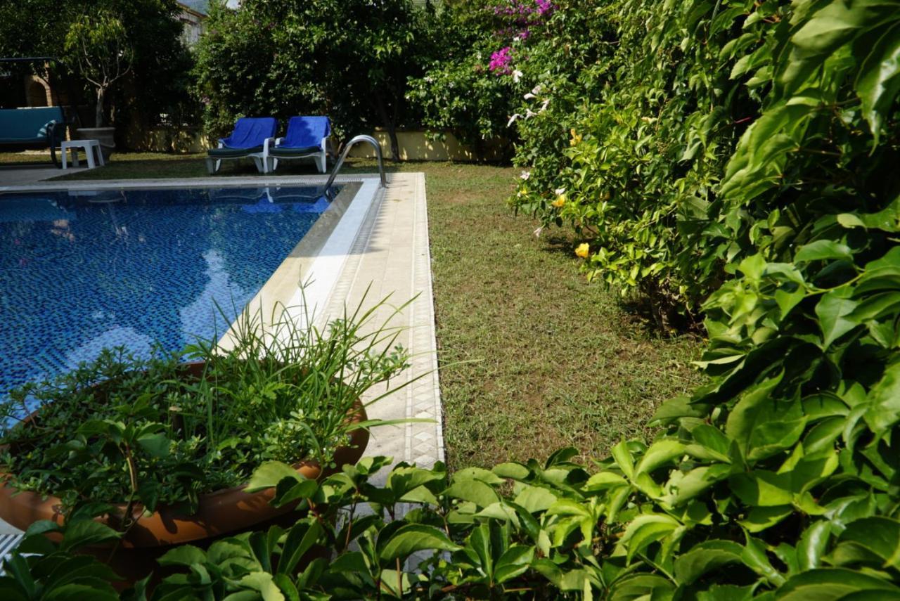 Mountain View Villa