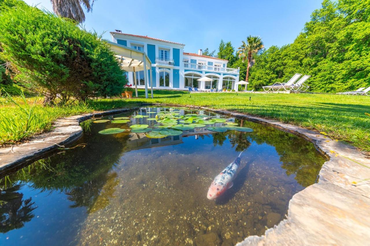 Zarik Guest house