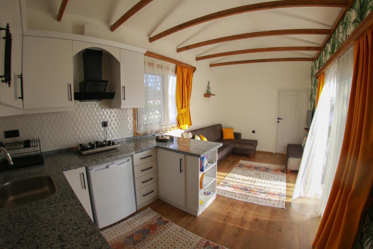 Tiny House Cactus Soeguet Holiday home