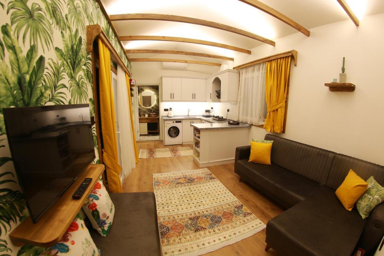 Holiday home Tiny House Cactus Soeguet *