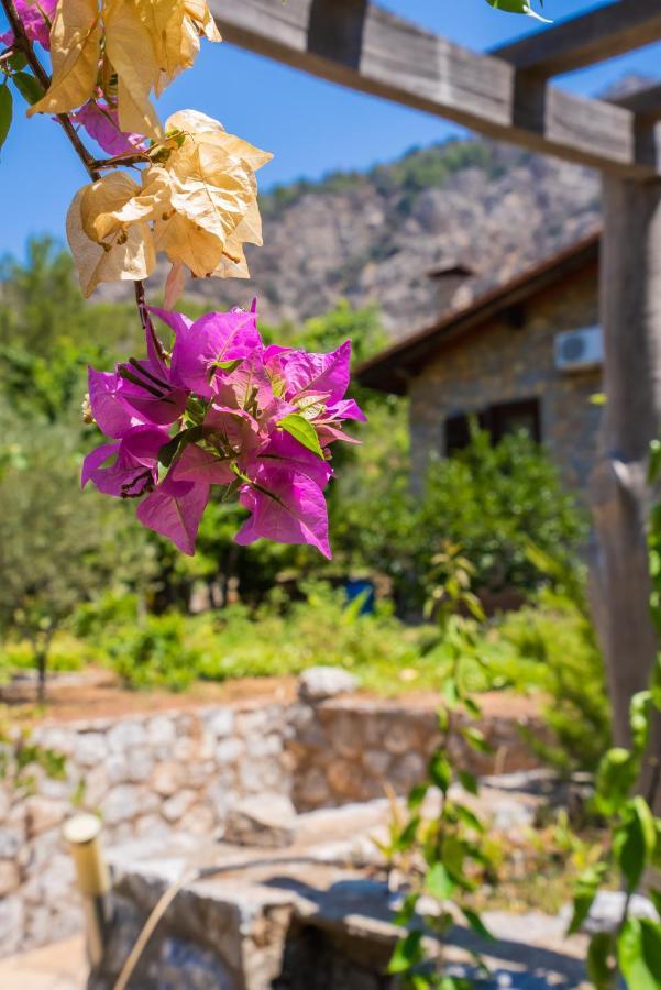 Villa Sakin Vadi Marmaris