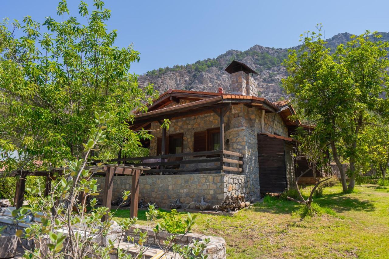 Sakin Vadi Villa