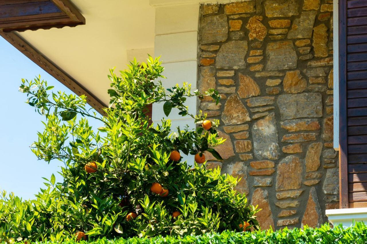 Villa Private Villa-villa Lufu *