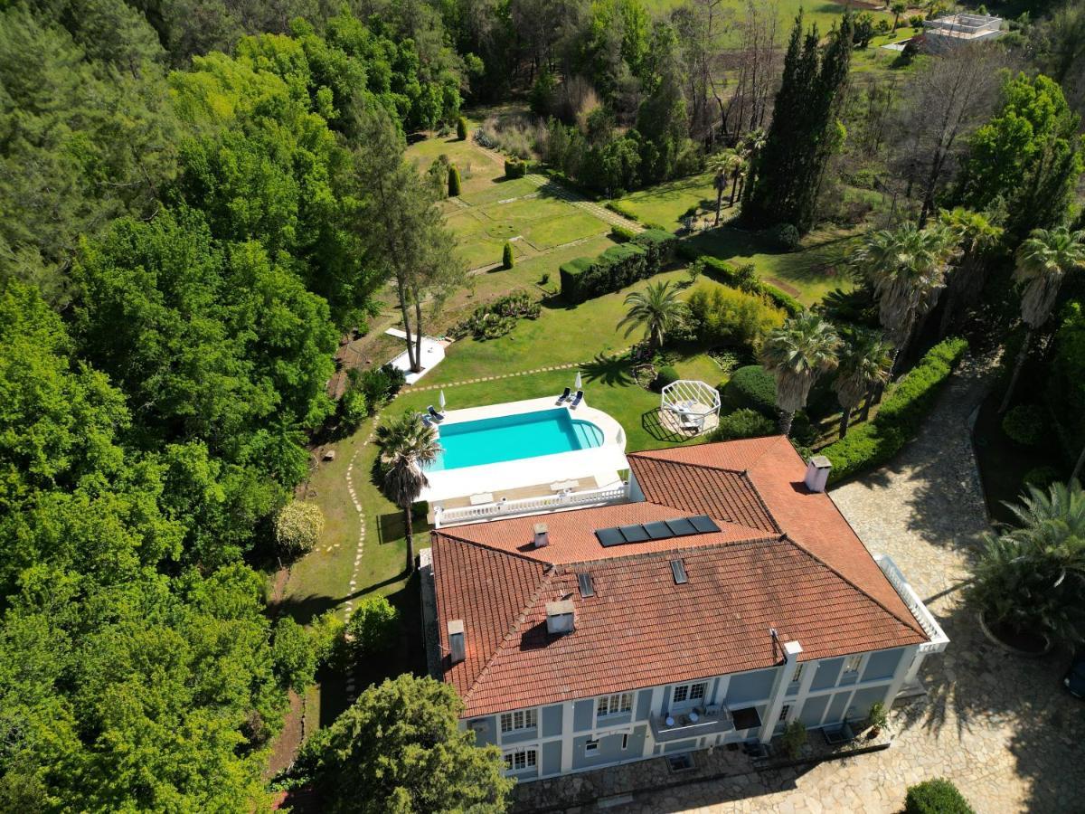 Zarik Guest house *