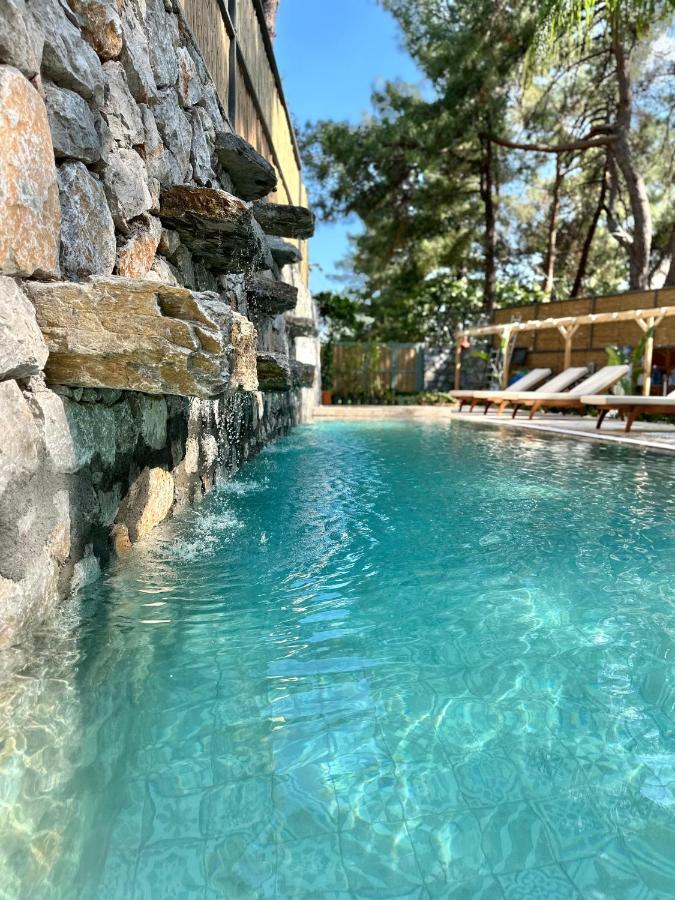Esmahan Forest And Pool By Zehra Apartamento *