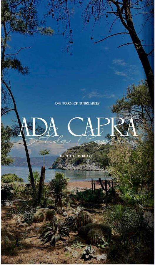 Hotel Ada Capra *