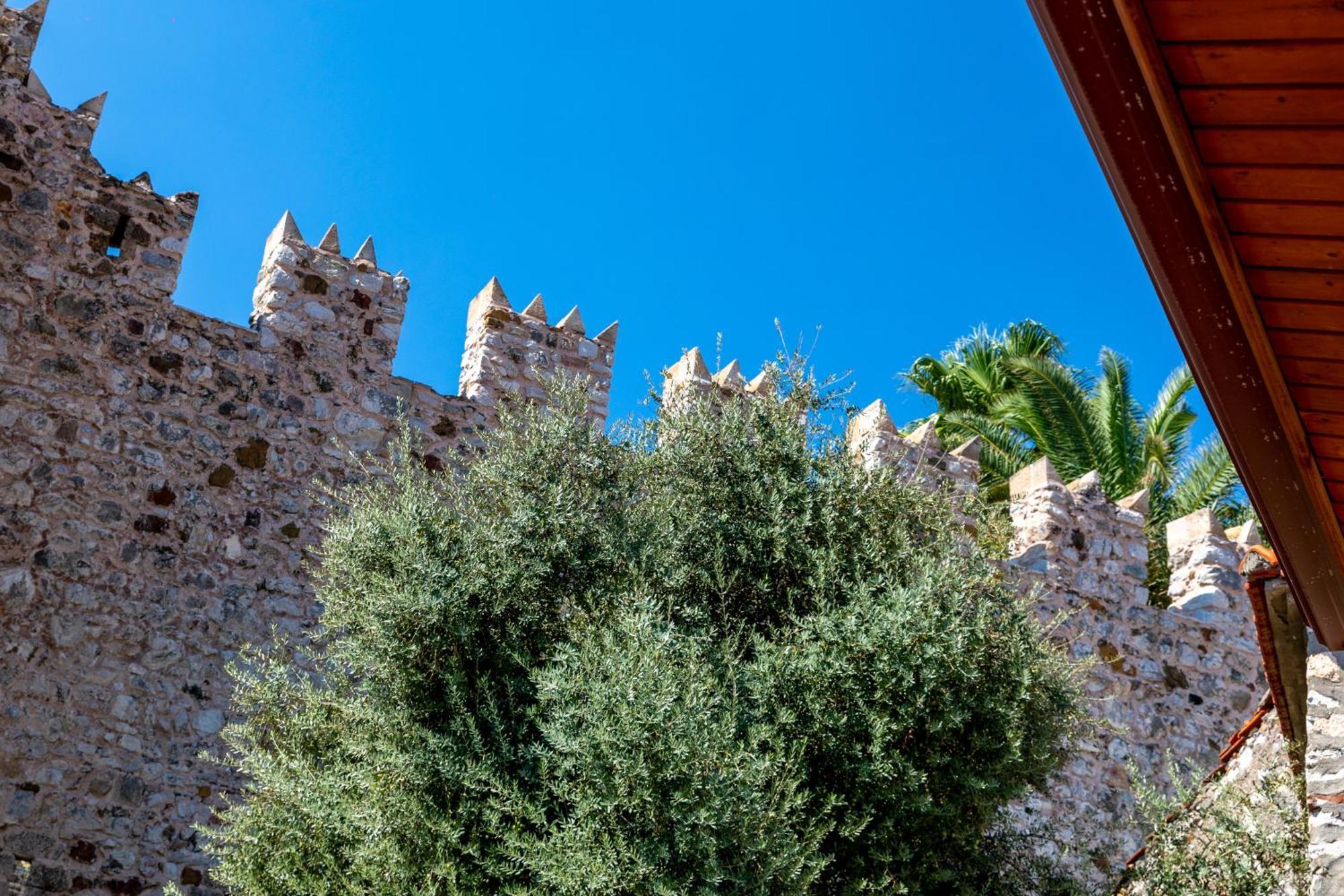 Mustafa Tokalac Castle House *