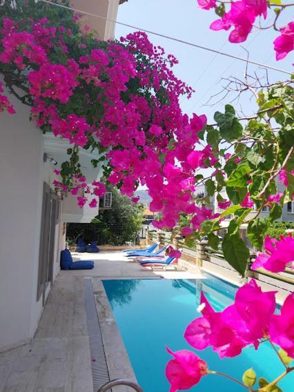 Selenya 3* Marmaris