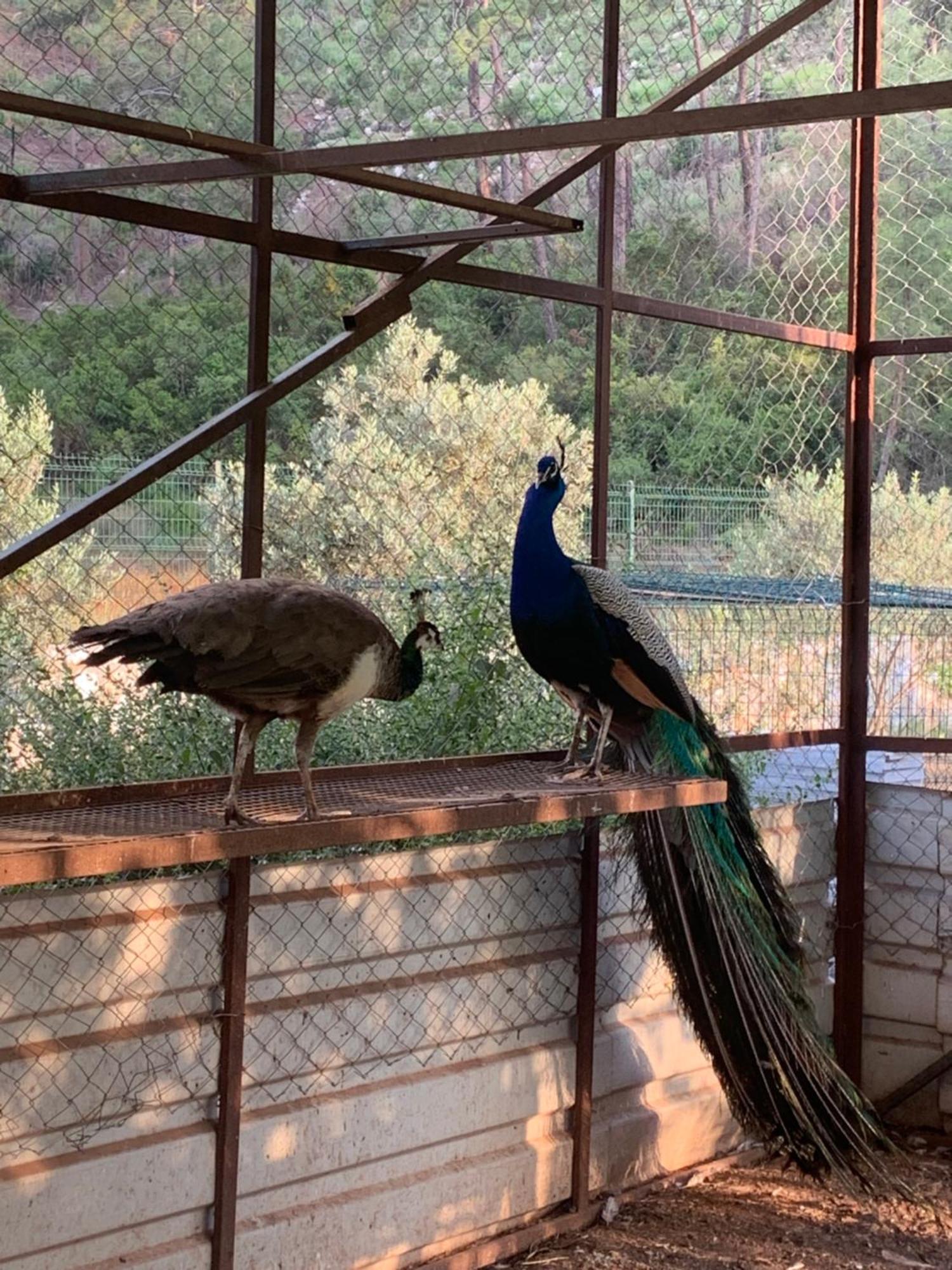Doga Ciftlik Marmaris