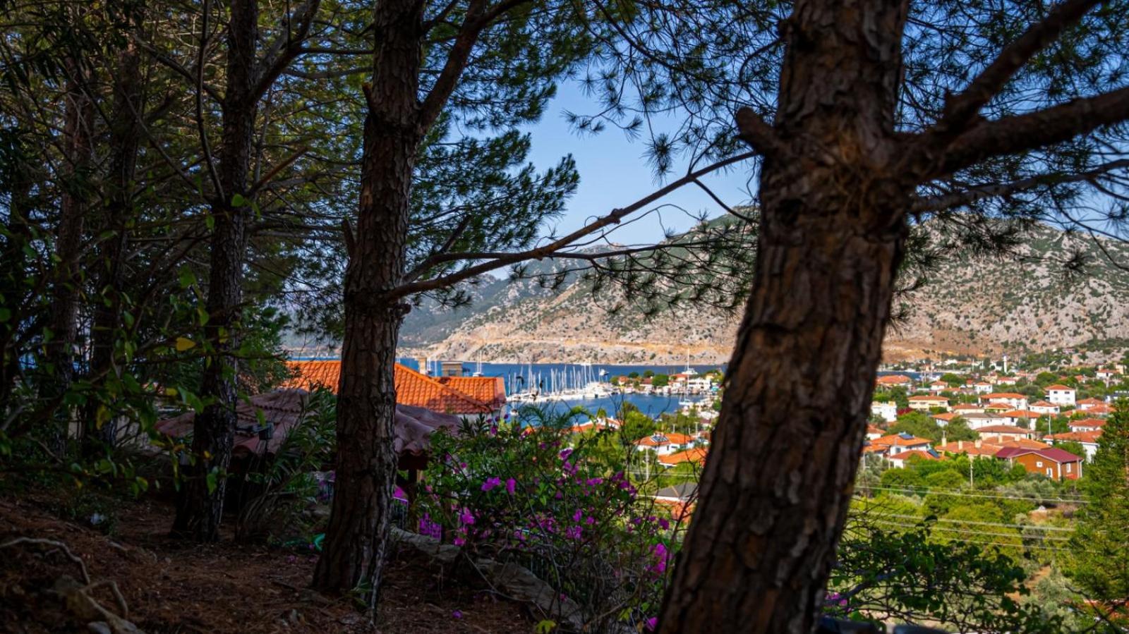 Apartment Selimiye Meltem's
