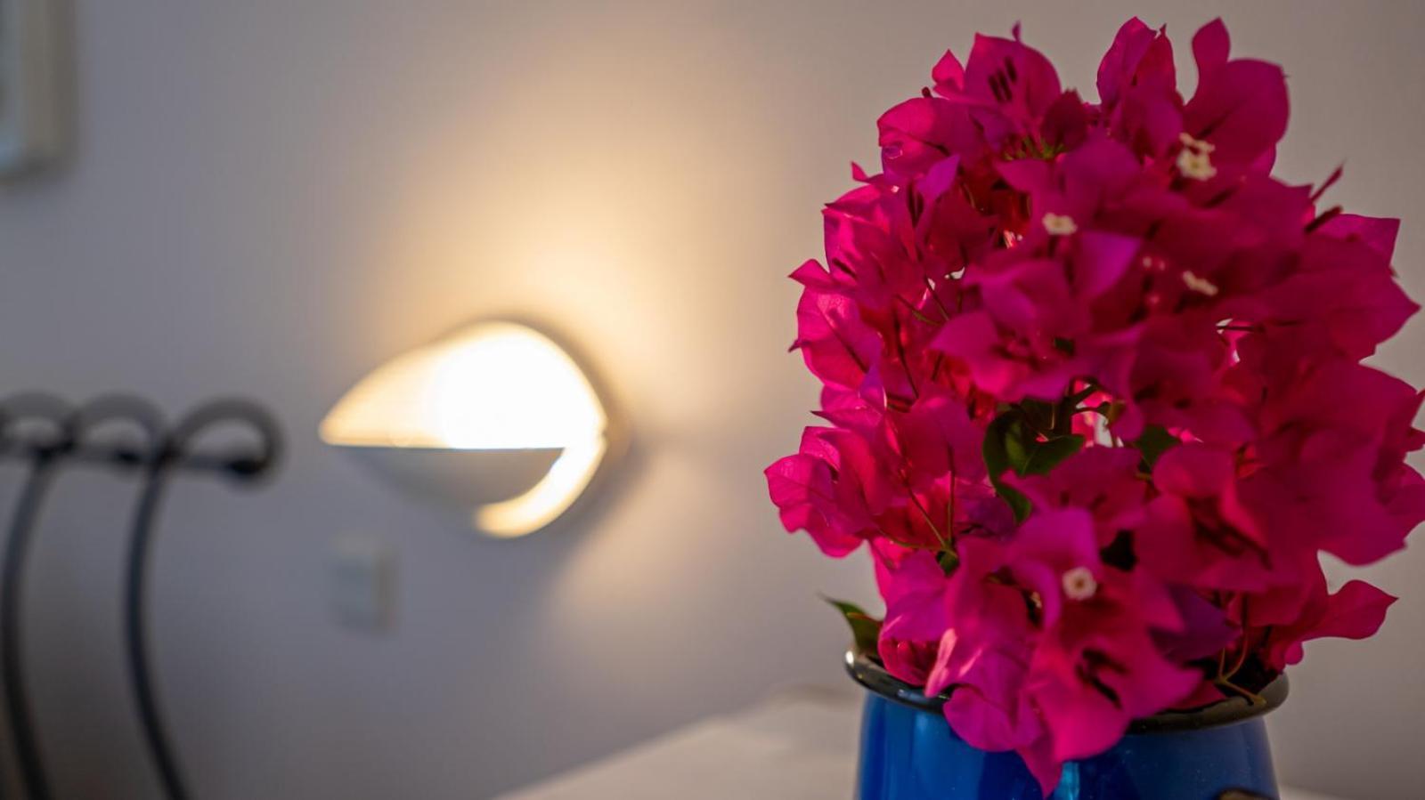 Selimiye Meltem's Apartment